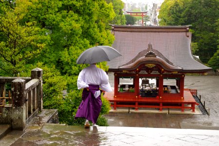 Shinto priest in rain