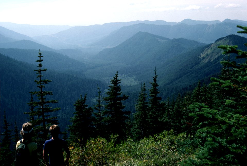 Hikers look down Sandy River Mt Hood National Forest.jpg