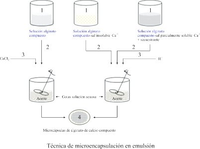 Microencapsulación en emulsión