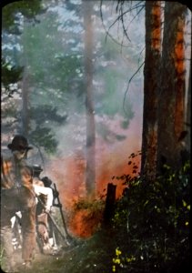 19798A Backfiring Squaw Creek Fire, Colville NF 1915
