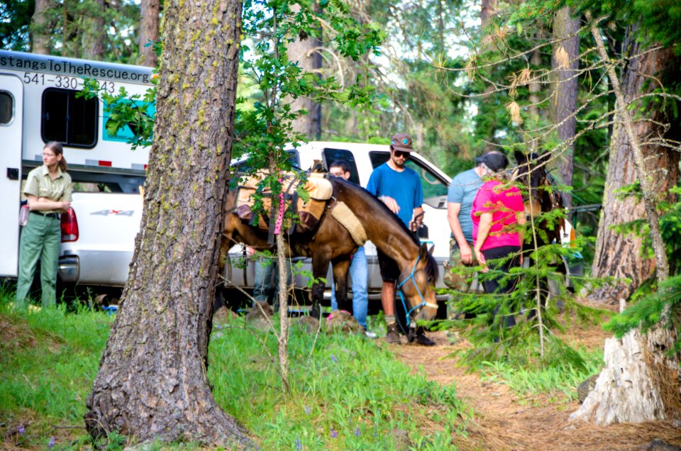 Wilderness Stewardship Skills Training at Mt Adams Ranger District-175