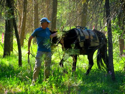 Wilderness Stewardship Skills Trainingat Mt Adams Ranger District-115