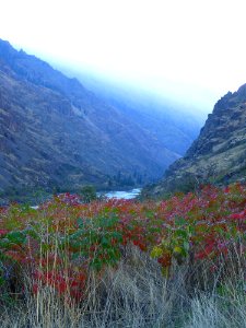Hillside by Burnt Creek in Hells Canyon, Wallowa-Whitman National Forest
