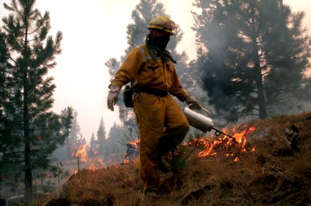 175 Ochoco National Forest Hash Rock Fire