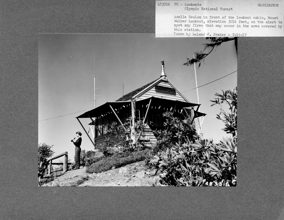483216 Adelle Newton at Mt. Walker LOH, Olympic NF, WA 1957