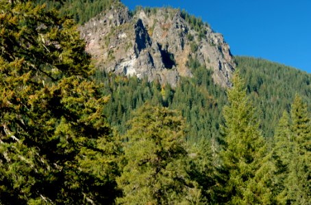 View from Proxy Falls Trail, Willamette National Forest
