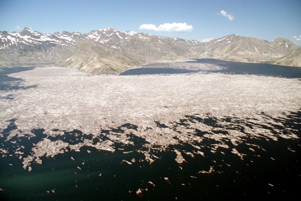 Gifford Pinchot National Forest, Mt St Helens NVM, Spirit lake floating tree debris.jpg