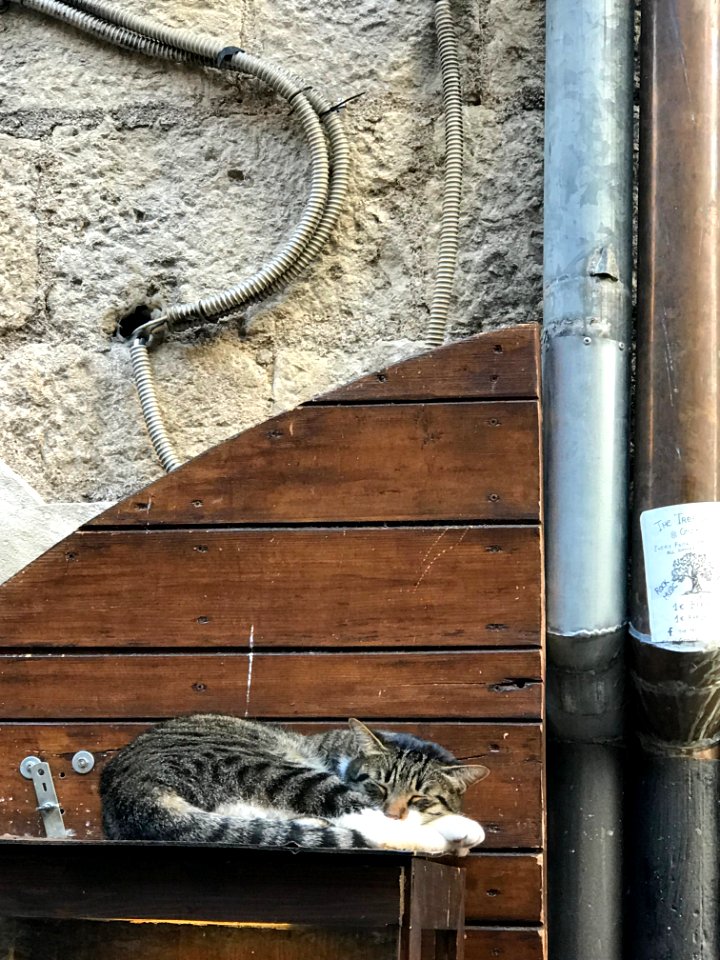 A comforting place. Montenegro 蒙特內哥羅