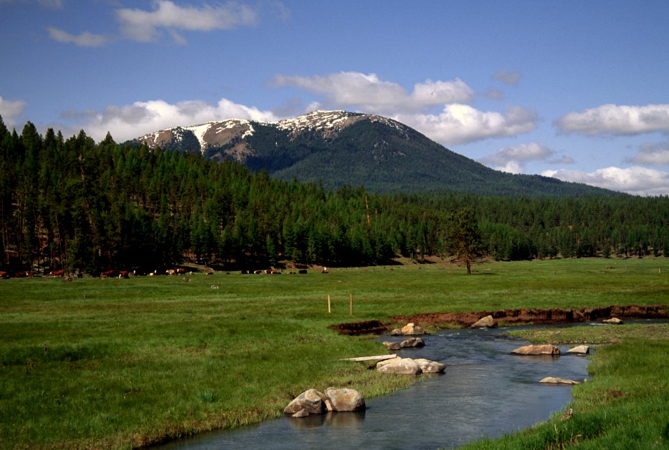 John Day Valley Stream, Malheur National Forest