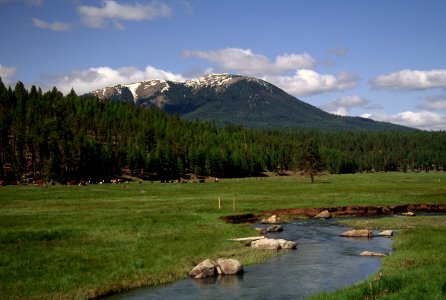 John Day Valley Stream, Malheur National Forest