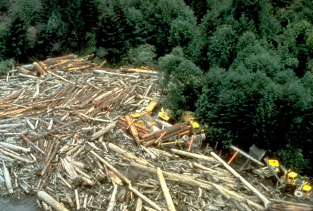 041MSH80 devastation log camp south fork toutle 05-19-80 resize