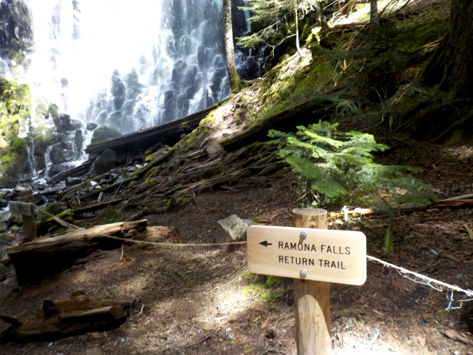2016 National Trails Day 3, 2016 National Trails Day 1, Mt Hood National Forest