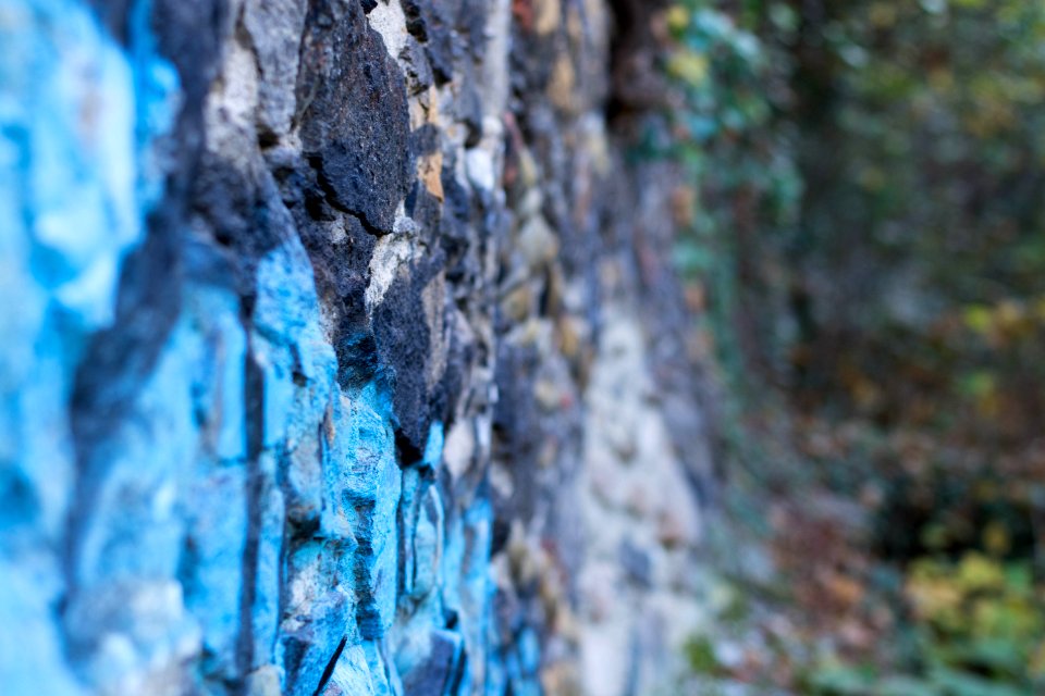 DSC 1307.jpg