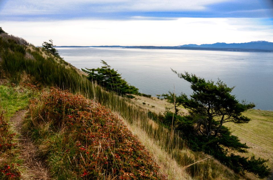The Pacific Northwest Trail wraps around the bluffs of Ft Ebey State Park