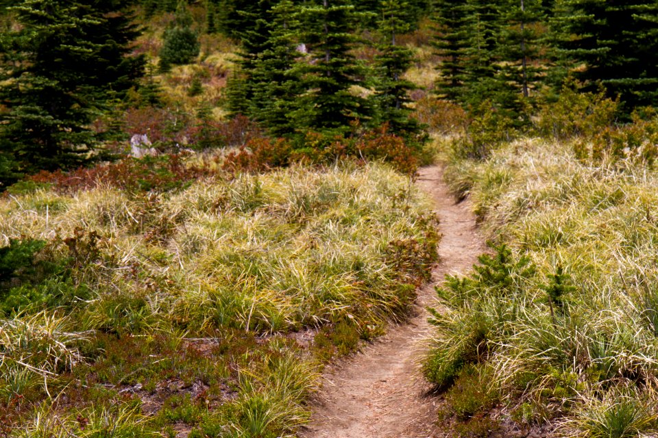 Further along the Divide Trail heading to Kelly Butte Lookout, Mt Baker Snoqualmie National Forest
