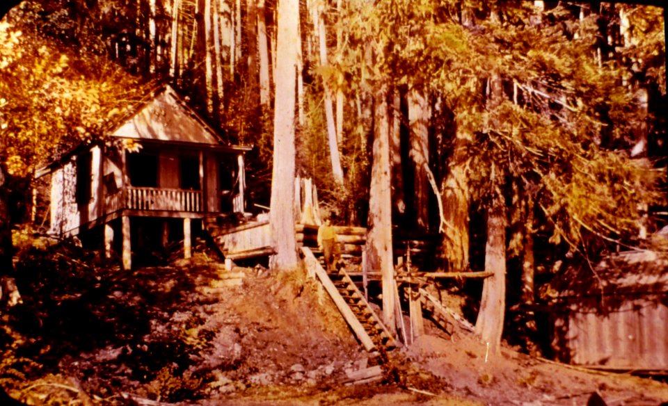Olympic NF - Merrill Summer Home, Lake Crescent, WA c1930