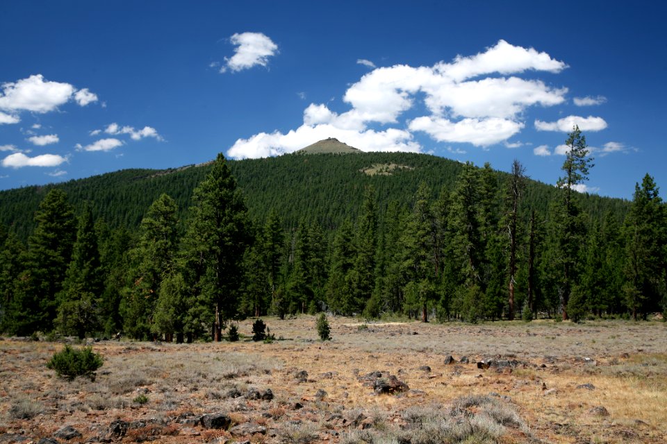 Hager Mountain-Fremont Winema