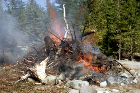 Logging slash burning-6.jpg photo