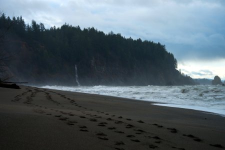 Footsteps on Third Beach, Olympic National Park photo