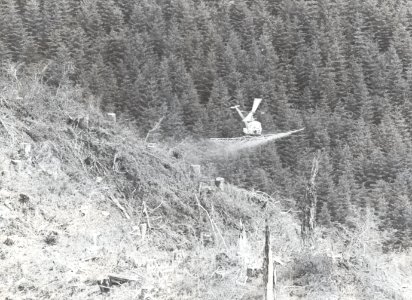 Helicopter spraying photo