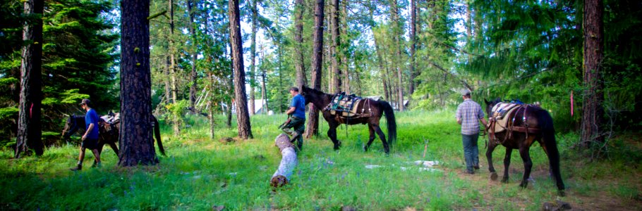 Wilderness Stewardship Skills Training at Mt Adams Ranger District-184