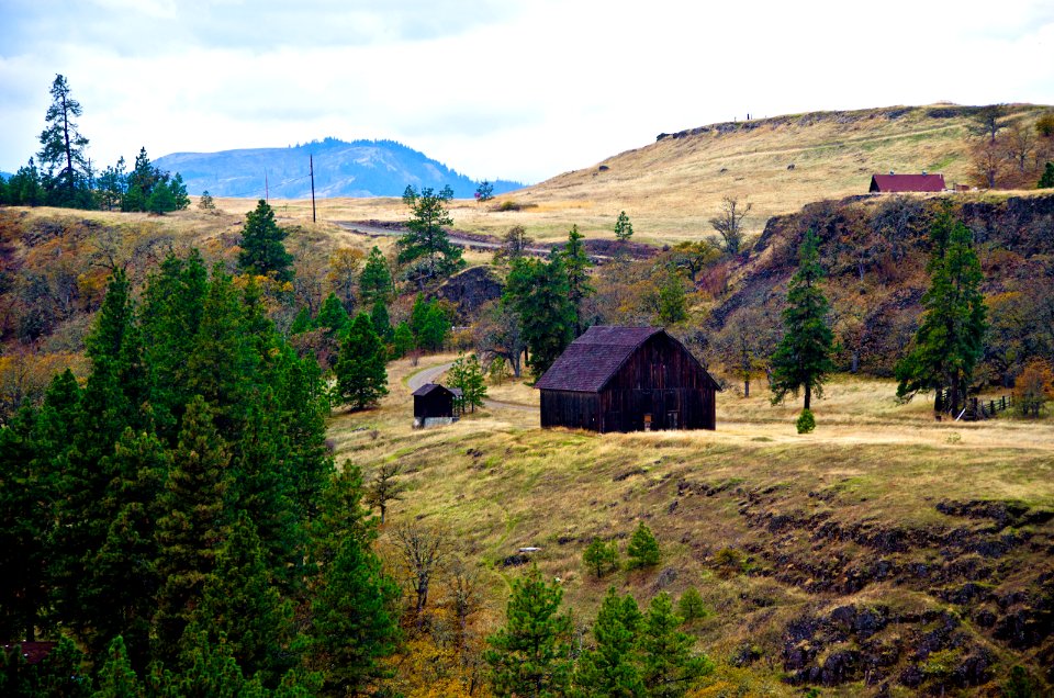 BARN AT TOM MCCALL NATURE PRESERVE COLUMBIA RIVER GORGE
