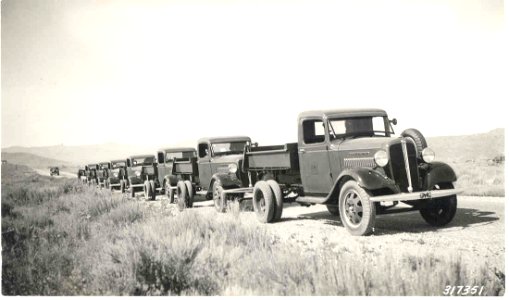 Forest Fleet of New GMC Trucks Being Delivered in the 1930s