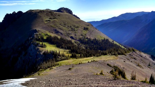 The PNT switchbacks up Buckhorn Pass in the Olympic National Forest photo