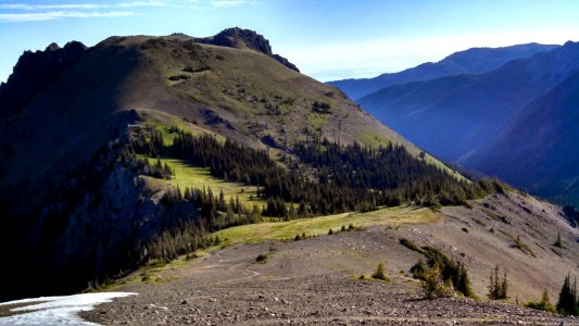 The PNT switchbacks up Buckhorn Pass in the Olympic National Forest