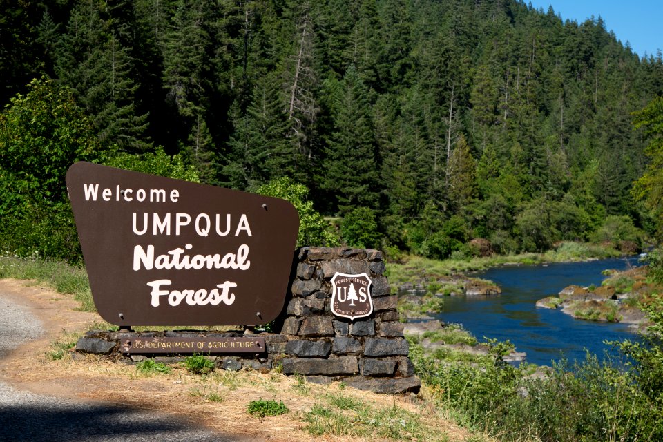Welcome to Umpqua National Forest and the wild and scenic north Umpqua River