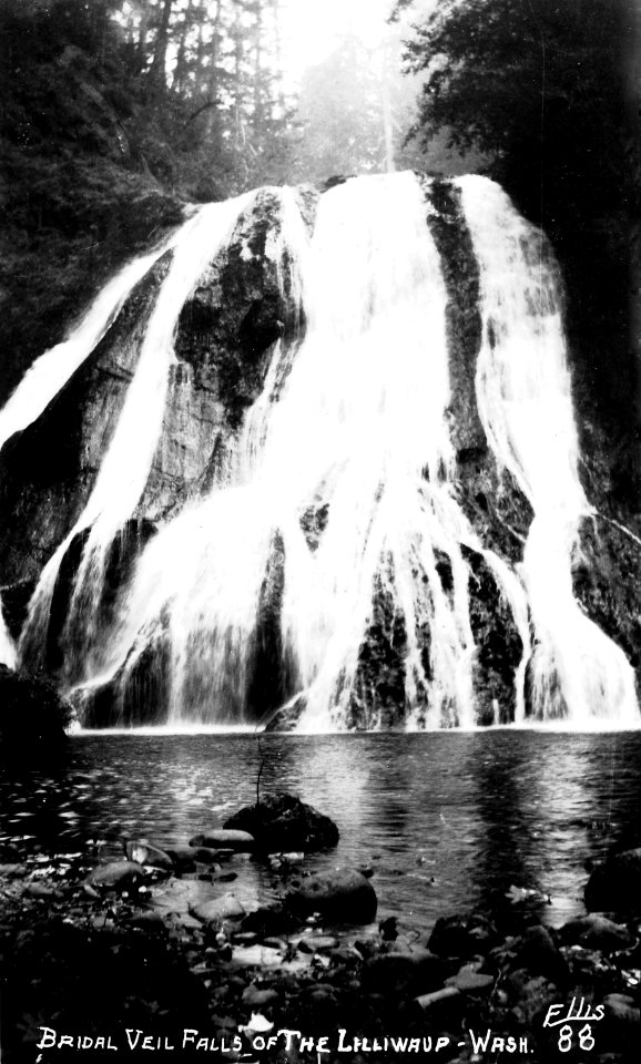 88 Bridal Veil Falls of the Lilliwaup by Ellis