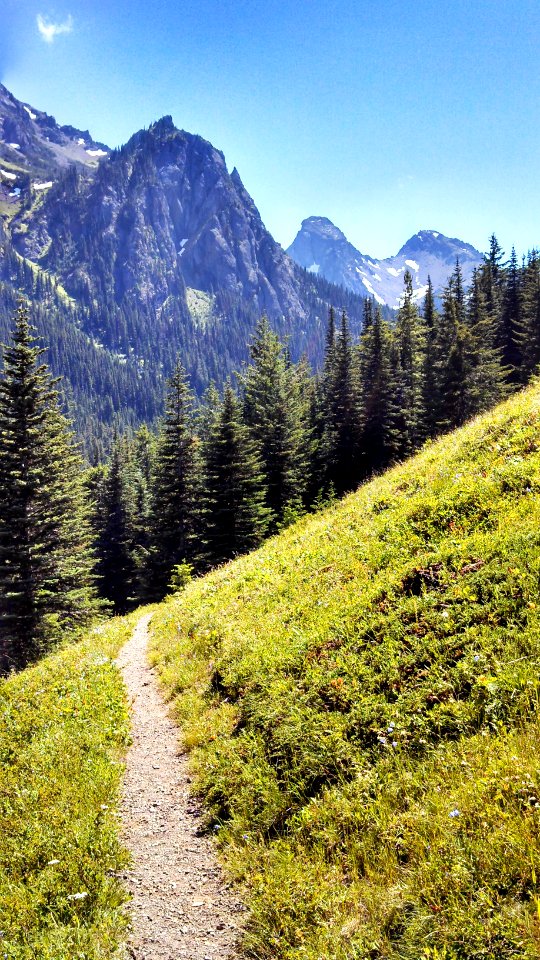 Pacific Northwest Trail in Buckhorn Wilderness above Tubal Cain mine