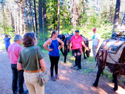 Wilderness Stewardship Skills Training at Mt Adams Ranger District-122 photo