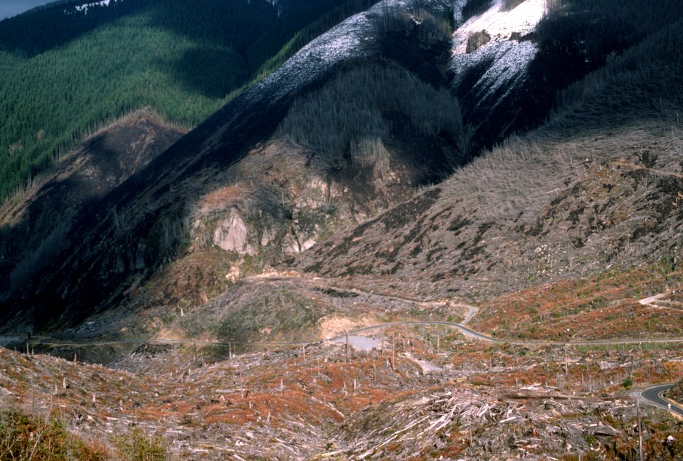 393 Devastated area after Mt St Helens eruption  1984