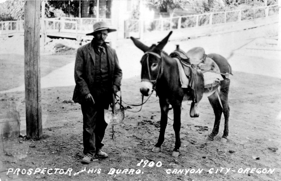 Prospector and His Burro, Canyon City - Oregon.jpg