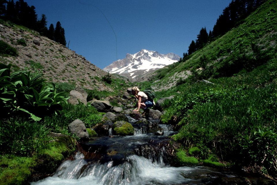 Hiking Timberline Trail, Pacific Crest Trail, Mt Hood National Forest