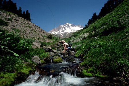 Hiking Timberline Trail, Pacific Crest Trail, Mt Hood National Forest photo