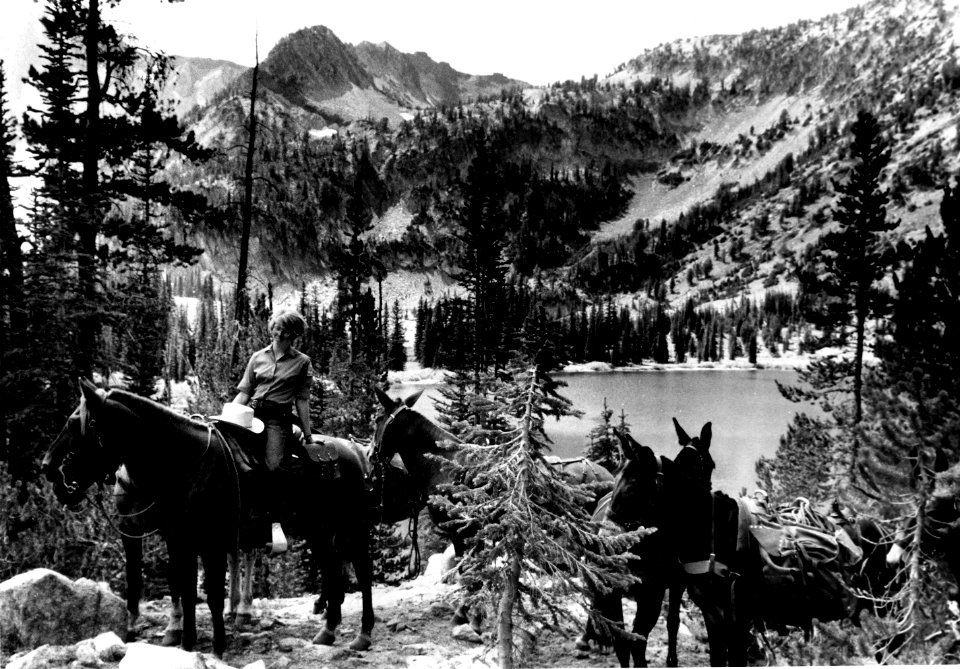 R-6 70-08-00-5 Cindy McReynolds, 1st FS Woman Packer, W-WNF, OR