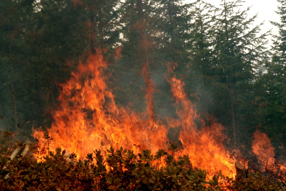 086 Rogue River-Siskiyou National Forest, Biscuit Fire