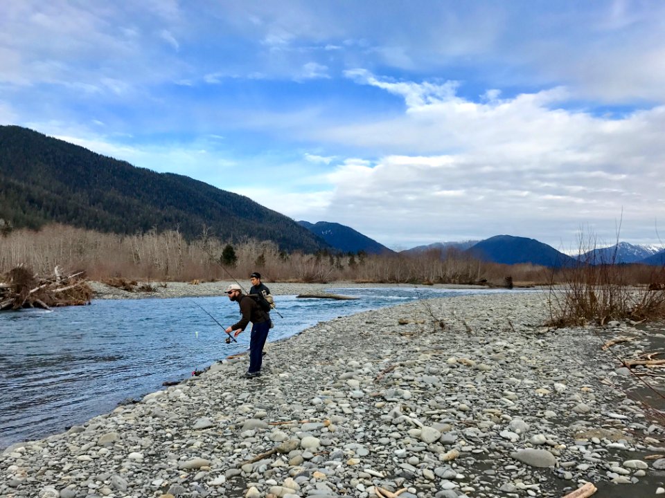 Quinault River fishing, Olympic National Forest