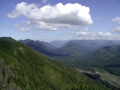 View toward Lake Crescent, Olympic National Forest