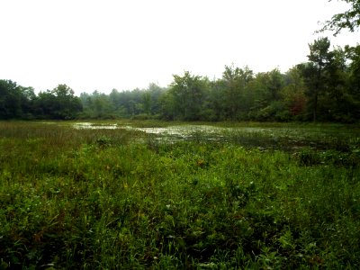 Verona Park