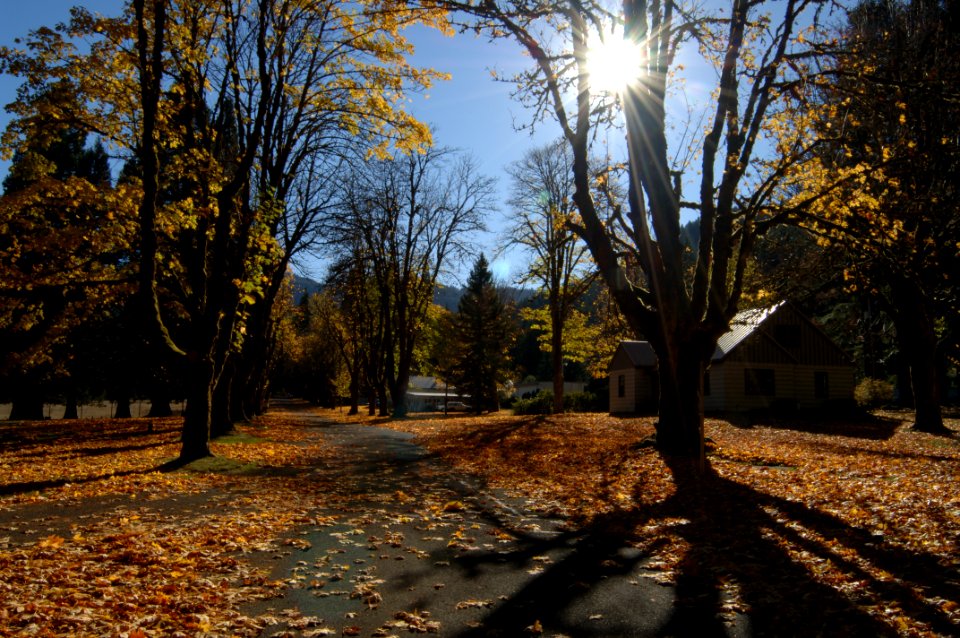 Former Wind River Nursery residences