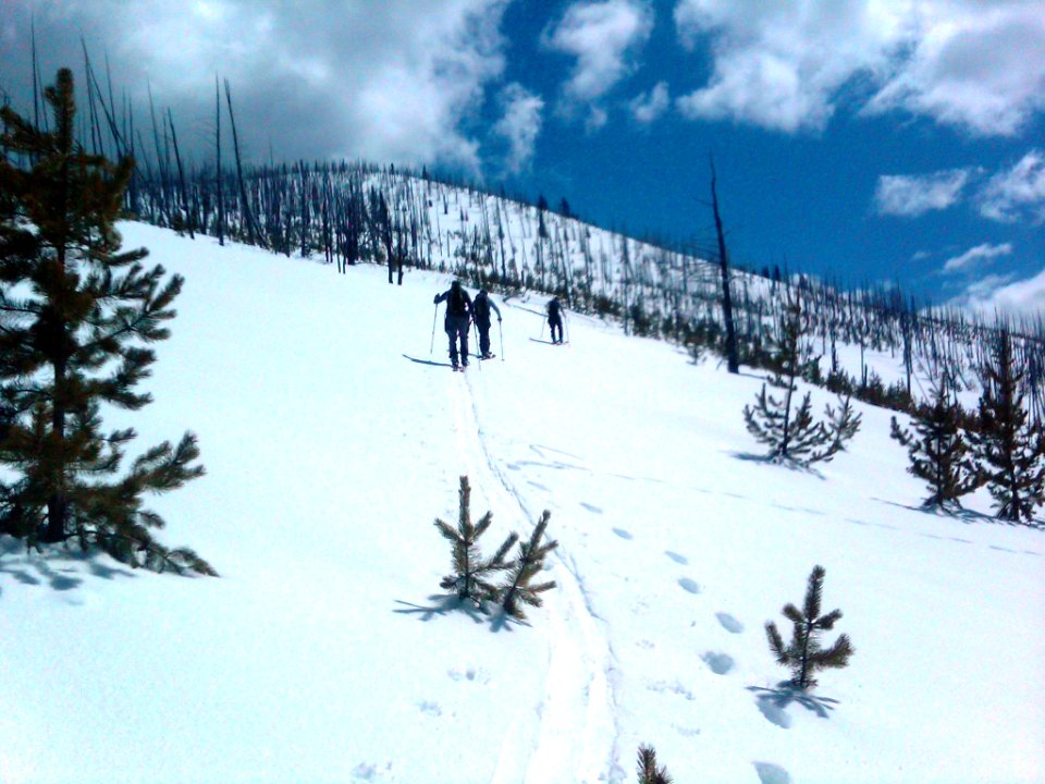 Backcountry skiing on the Pacific Northwest Trail above Sherman Pass, Colville National Forest