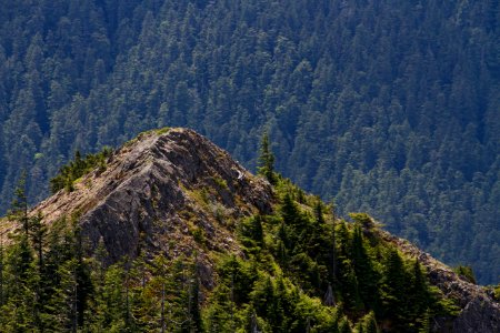 Ridge at Kelly Butte, Mt Baker Snoqualmie National Forest photo