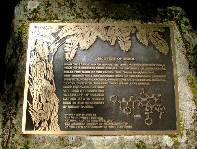 Gifford Pinchot NF - Plaque on Discovery of Taxol, La Wis Wis Campgound - GWW