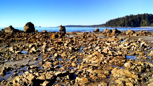 The PNT travels sandy beaches and rocky shorelines along Olympic National Park's Wilderness Coast photo