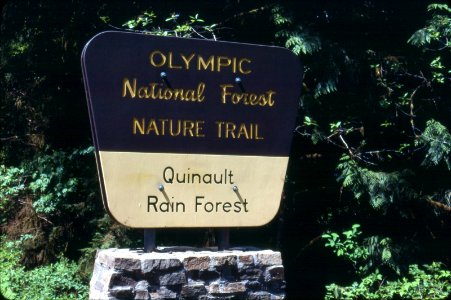 Quinault Nature Trail Sign, Olympic National Forest photo