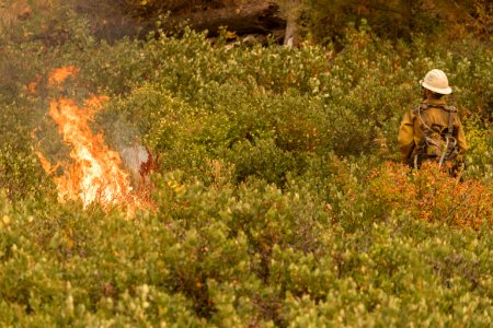 Firefighters conducting burnout operation