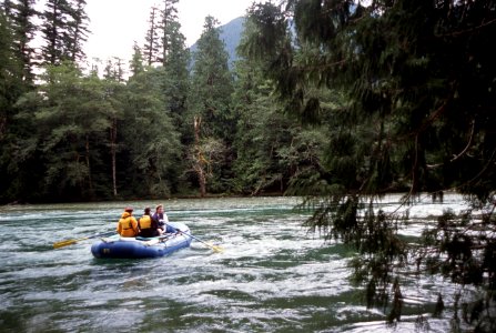 Rafting, Skagit River, Mt Baker-Snoqualmie National Forest photo